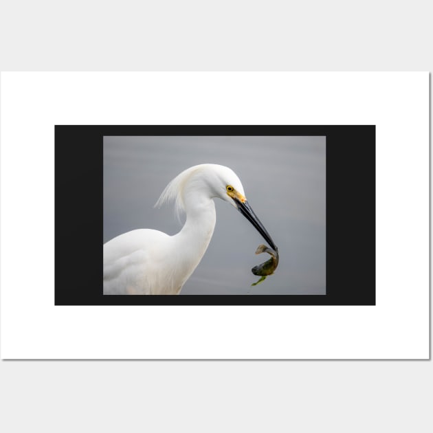 Egret Wall Art by gdb2